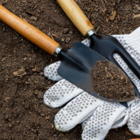 Garden Tools & Accessories